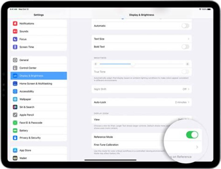 When I copy a link on the iPad, where is it stored?