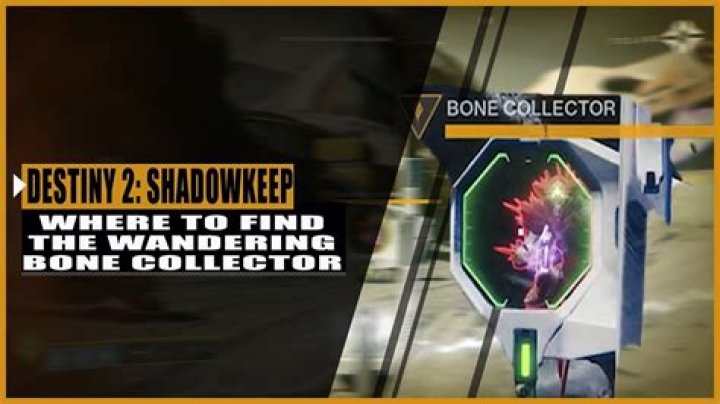 Where is the Wandering Bone Collector located in Destiny 2? 