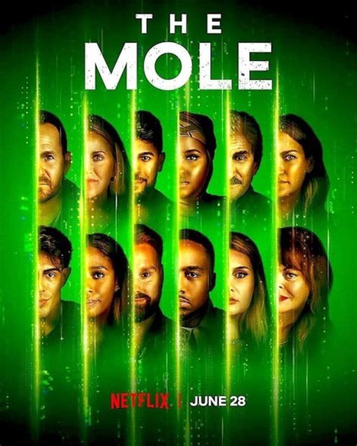 Where to Stream 'The Mole'