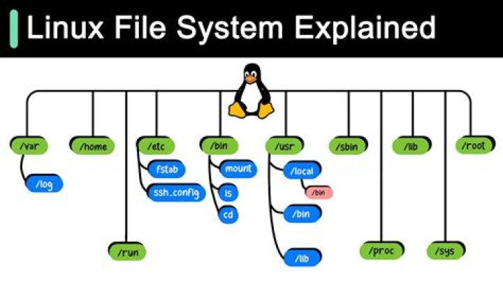 Which File Formats Should You Use With Linux?
