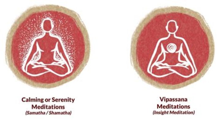 Which Is Right for You?