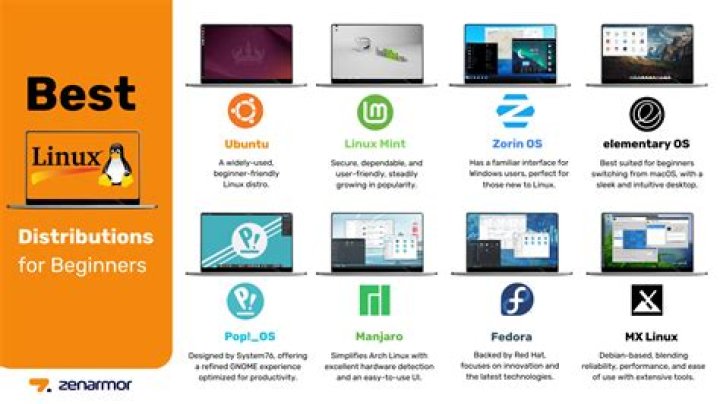 Which Linux distro is best for networking and server use?