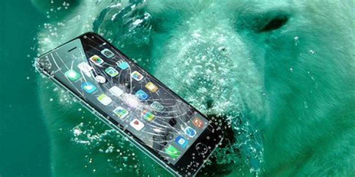 Which Protects Your Phone Better?