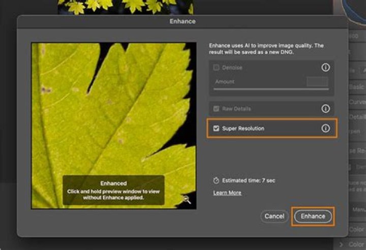Width 2560: The Ultimate Guide To Enhance Image Quality And User Experience