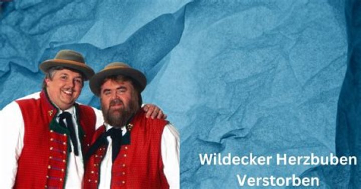 Wildecker Herzbuben Vermögen