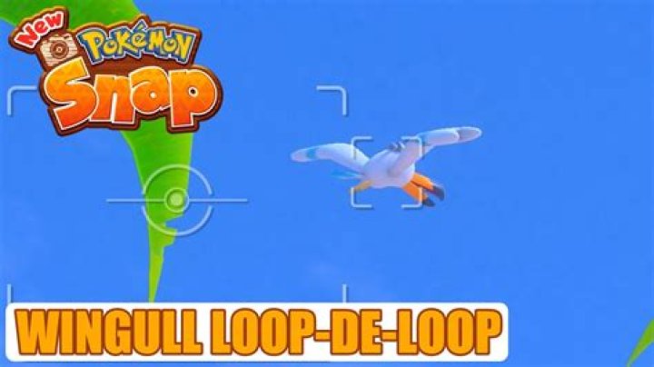 Wingull Loop-the-Loop Pokémon Snap