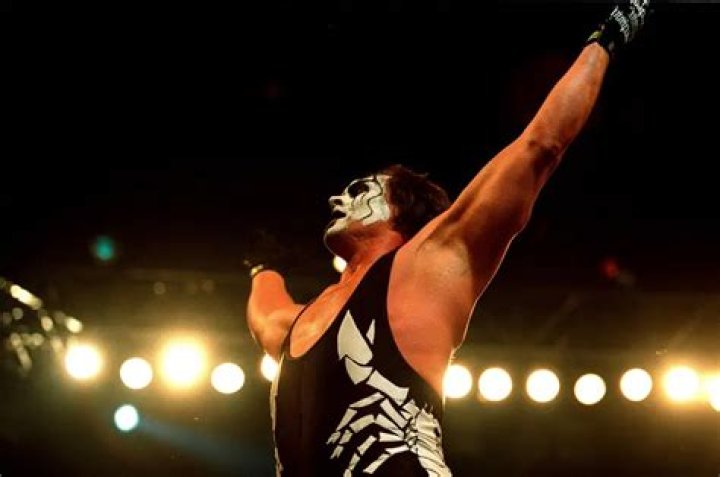 Wrestler Sting Net Worth 2024