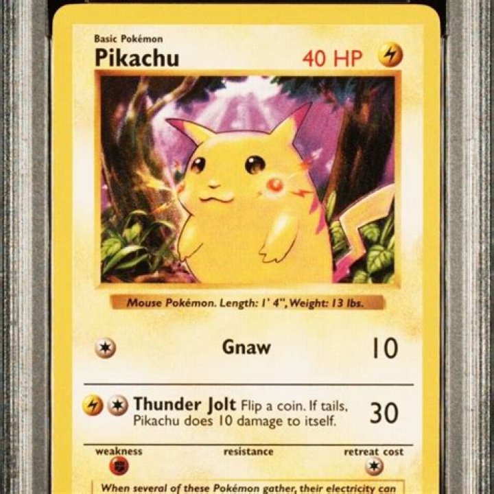 YouTuber shows how you're storing your valuable Pokemon cards wrong