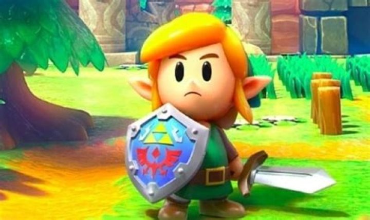 Zelda Link’s Awakening: How to Get Hibiscus